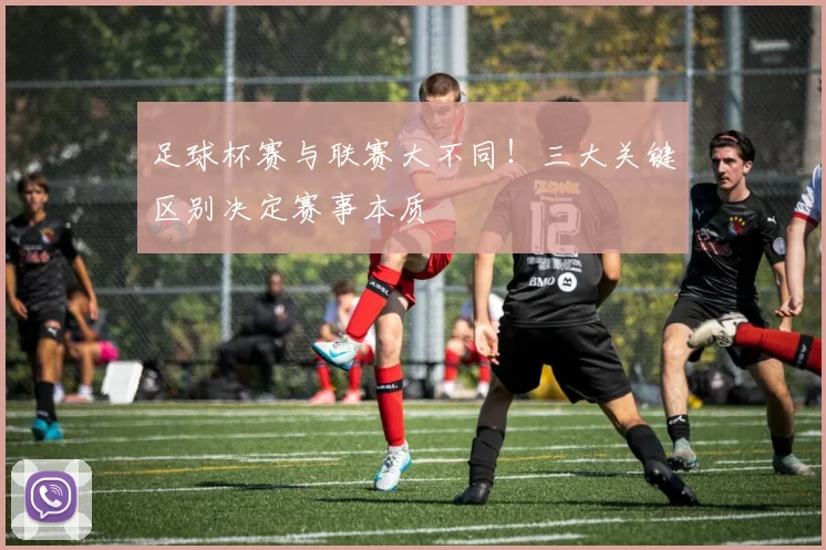 足球杯赛与联赛大不同！三大关键区别决定赛事本质