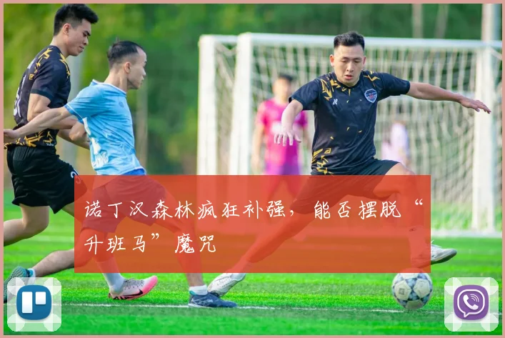 诺丁汉森林疯狂补强，能否摆脱“升班马”魔咒