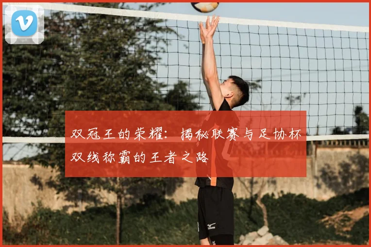 双冠王的荣耀：揭秘联赛与足协杯双线称霸的王者之路