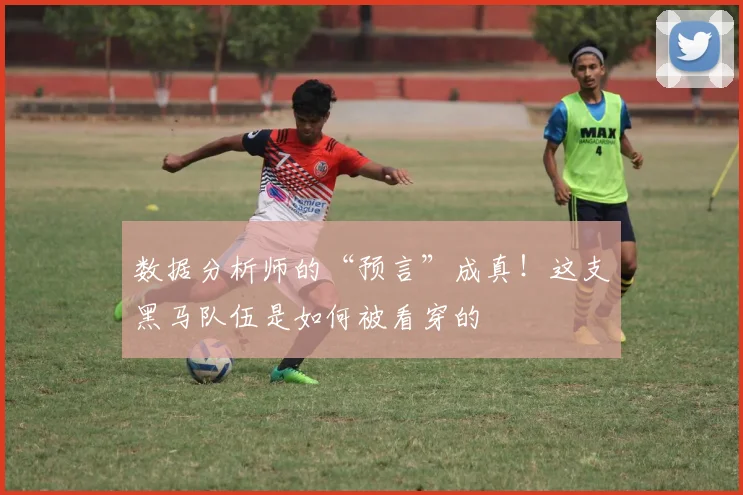 数据分析师的“预言”成真!这支黑马队伍是如何被看穿的