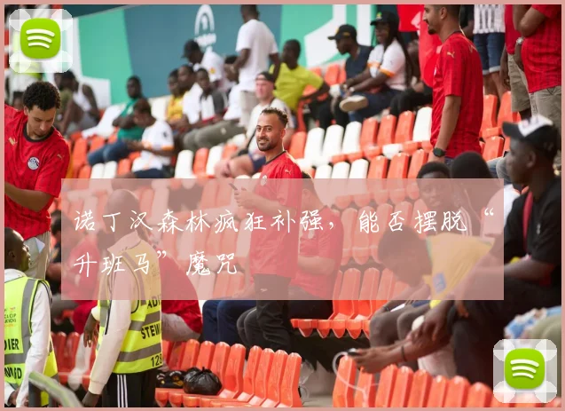 诺丁汉森林疯狂补强，能否摆脱“升班马”魔咒